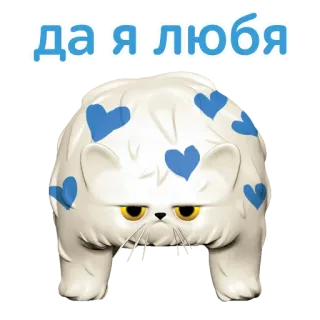 💙 да я любя Katze, süß, Tier, Aufkleber, Perserkatze telegram sticker