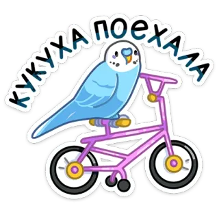 🚴‍♂️ КУКУХА ПОЕХАЛА vogel, fiets, grasparkiet, papegaai, fietsen, grappig, tekst telegram sticker