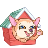 Peachy Сhihuahua telegram stickers