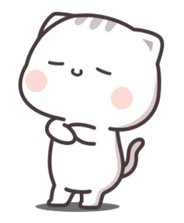 😽 gato, lindo, pegatina, pacífico, animal, kawaii telegram sticker