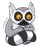 😟 lemur, animal, cute, cartoon telegram sticker