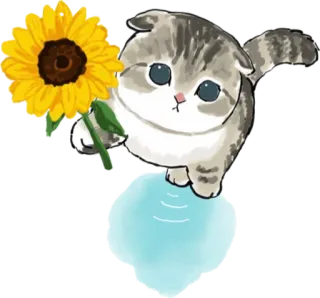 🌻 cat, sunflower, cute, animal, flower telegram sticker