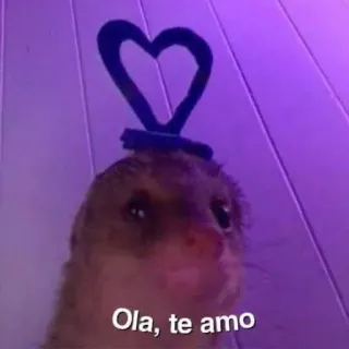 🥰 Ola, te amo Frettchen, Herz, Liebe, süß, Tier telegram sticker