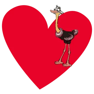❤ avestruz, coração, amor, pássaro, animal, desenho animado whatsapp sticker