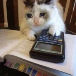 😖 chat, triste, pleure, calculatrice, maths, livre telegram sticker