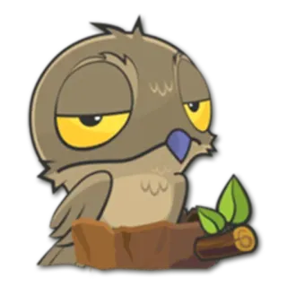 😏 coruja, pássaro, animal, desenho animado, adesivo whatsapp sticker