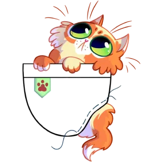 😺 Katze, Tasche, süß, Tier, Kätzchen, Haustier, Cartoon whatsapp sticker