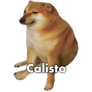🐶 Calisto หมา, Cheems, มีม, คัลลิสโต whatsapp sticker
