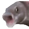 😦