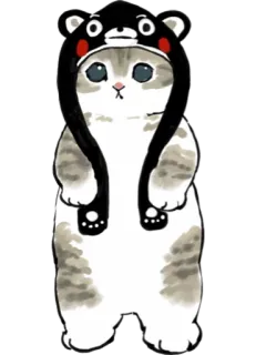👁‍🗨 cat, cute, animal, bear, hood telegram sticker