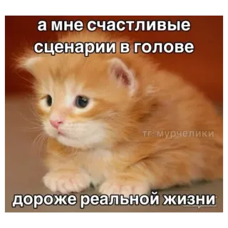 Больше стиков тут: @stikery4 whatsapp stickers