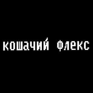 жизненные фразы whatsapp stickers