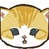 🐱