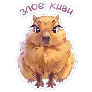 😠 Злое киви Киви, Животное, Злой, Милый, Наклейка telegram sticker