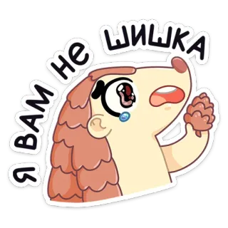 😠 Я вам не шышка животное, ёж, шишка, грустный, плакать, стикер, мультфильм whatsapp sticker