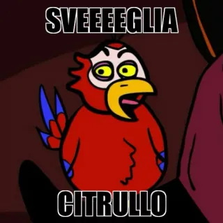 😈 SVEEEGLIA
CITRULLO pappagallo, cartone animato, italiano, umorismo, divertente telegram sticker