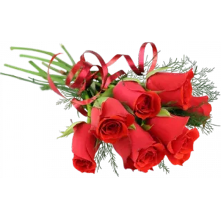 🌹 roses, red, bouquet, flowers, love, romance whatsapp sticker