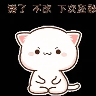 🎂 错了不改 下次还敢 gatto, carino, adesivo, divertente telegram sticker