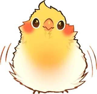 🙂 鳥, オカメインコ, 動物, かわいい, 可愛い, ペット, 黄色 telegram sticker