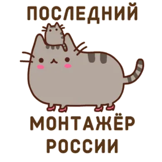 🖖 ПОСЛЕДНИЙ
МОНТАЖЁР
РОССИИ кот, редактирование, редактор, россия, русский, последний редактор whatsapp sticker