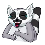 🐨 lémurien, rire, animal, dessin animé, joyeux, mignon whatsapp sticker
