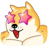 Doge whatsapp stickers