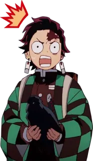 😯 Tanjiro Kamado Demon Slayer Anime, Demon Slayer, Tanjiro, Wütend, Krähe, Schockiert telegram sticker