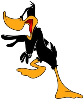 🗣 Daffy Duck daffy duck, kartun, looney tunes, animasi, karakter whatsapp sticker
