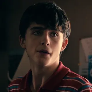 😕 Timothée Chalamet актер, знаменитость, портрет, молодой, мужчина whatsapp sticker