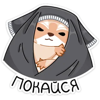 💒 ПОКАЙСЯ หมา, สัตว์, สำนึกผิด, น่ารัก, มีม, คลุม whatsapp sticker