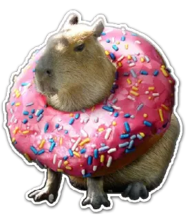 🍩 Kapibara, Pączek, Zwierzę, Słodkie, Jedzenie telegram sticker