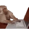 💻