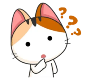 🤔 gato, ponto de interrogação, confuso, pensando, adesivo telegram sticker