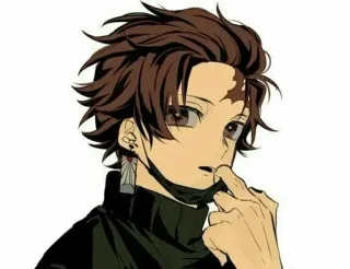 🍃 Tanjiro Kamado Demon Slayer Anime, Demon Slayer, Tanjiro Kamado, Personaje, Japonés, Manga whatsapp sticker