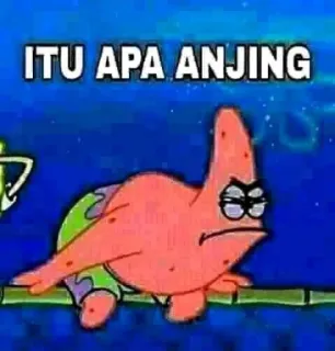 ⭐️ Patrick Star Spongebob Squarepants ITU APA ANJING 뚱이, 스폰지밥, 만화, 밈, 웃긴, 이거 무슨 개야 telegram sticker