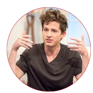 😡 Charlie Puth celebrity, singer, musician, portrait telegram sticker