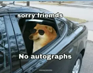 😎 Cheems Doge memes sorry friemds No autographs whatsapp sticker
