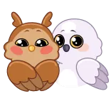 😳 gufo, carino, kawaii, animale, adesivo, uccello, cartone animato telegram sticker