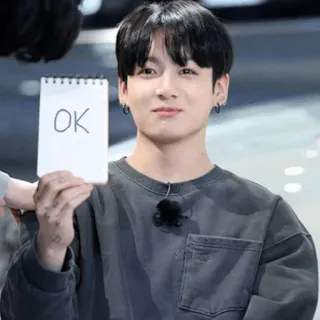 👍 OK ok, señal, aprobación, kpop, k-pop, jeon jungkook, jungkook telegram sticker