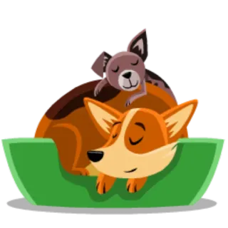 😴 perro, cachorro, corgi, dormir, mascota, lindo, animal telegram sticker