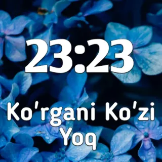 ❤️ 23:23
Ko'rgani Ko'zi Yoq zeit, blume, zahlen, blau whatsapp sticker