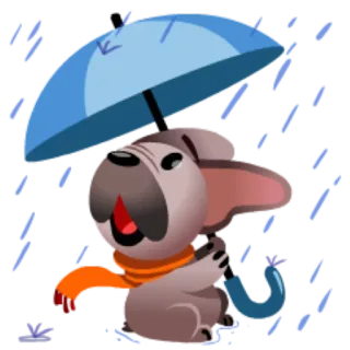 ☔ cachorro, chuva, guarda-chuva, animal, fofo telegram sticker