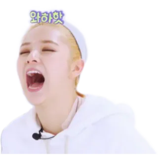 😂 와하핫 kpop, risada, gritar, animado, mulher, celebridade telegram sticker