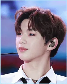 ✨ kpop, idola, penyanyi, selebriti, potret whatsapp sticker