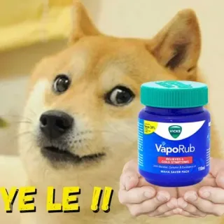 🧊 YE LE !!! doge, vicks, vaporub, meme, perro, resfriado, remedio telegram sticker