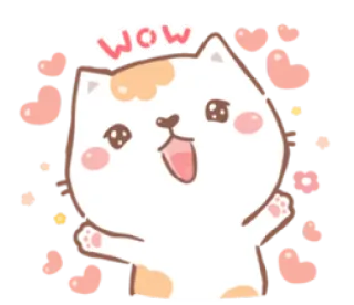 🤩 WOW gatto, carino, cuori, adesivo, felice, wow, animali telegram sticker