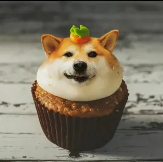 ❤️ dog, cupcake, shiba inu, cute, food, dessert, funny, animal telegram sticker