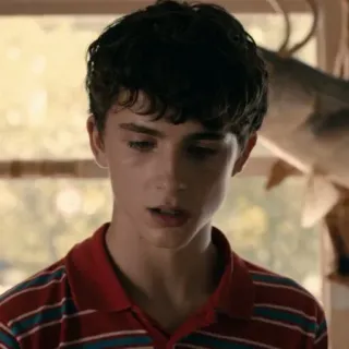 😶 Timothée Chalamet человек, актер, знаменитость, портрет, Тимоти Шаламе whatsapp sticker