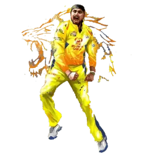 💛 Cricket, Sport, Athlet, Gelb, Jubel, Chennai Super Kings whatsapp sticker