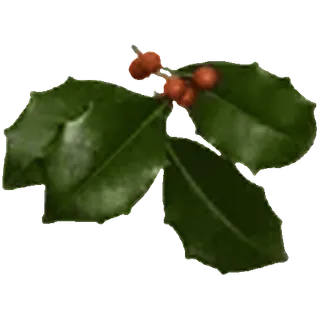 🍃